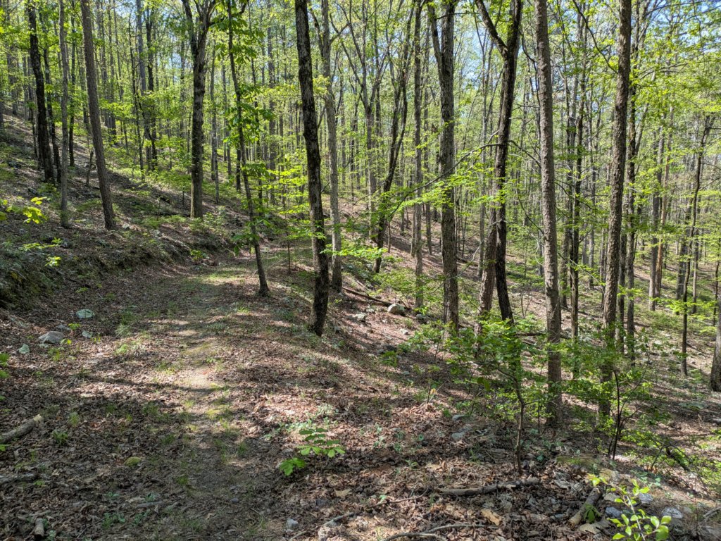 pxl_20250412_164140331.jpg