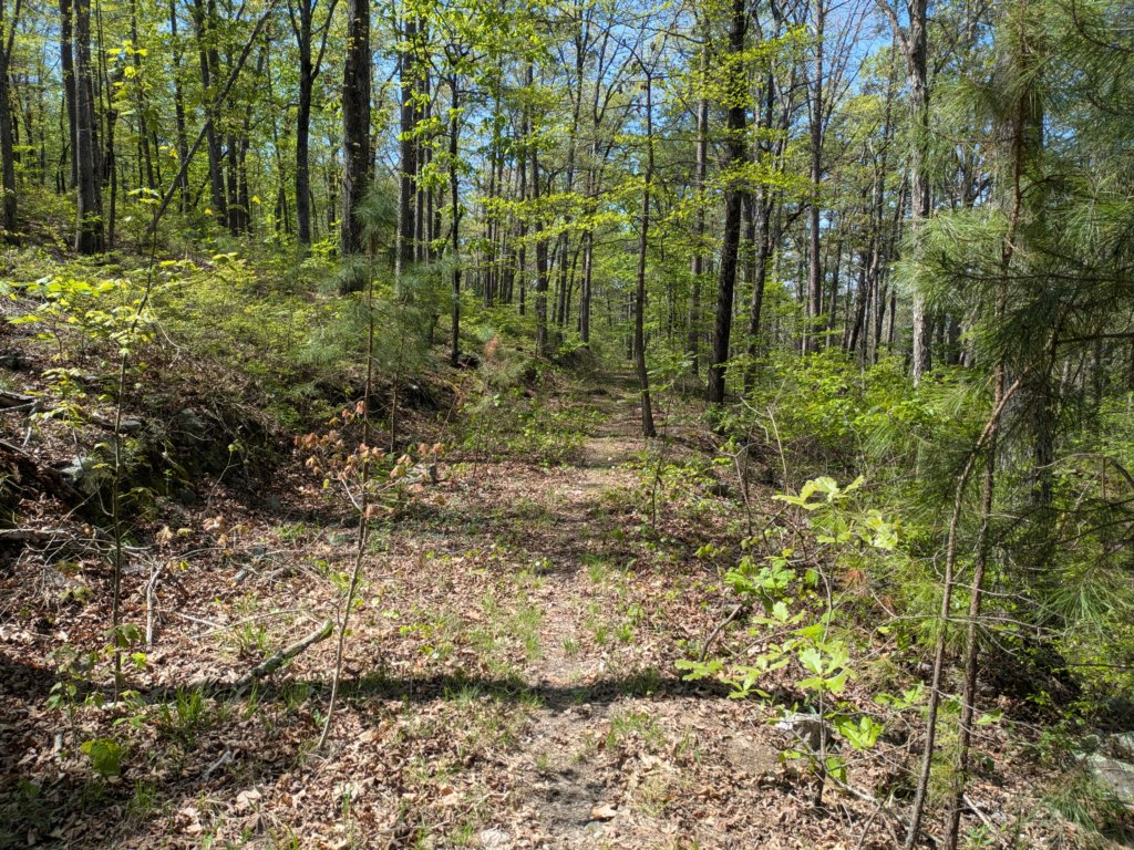 pxl_20250412_164326992.jpg