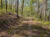 pxl_20250412_164403493_small.jpg