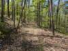 pxl_20250412_164856900_small.jpg