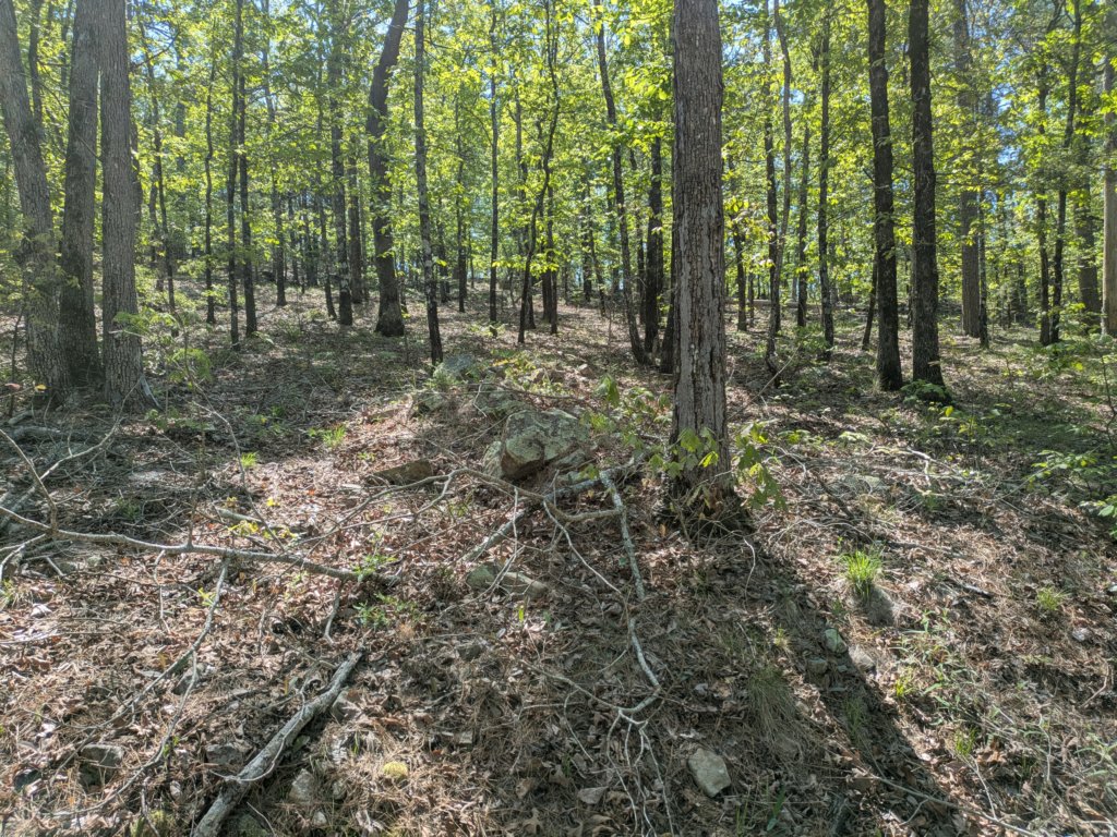 pxl_20250412_165146396.jpg