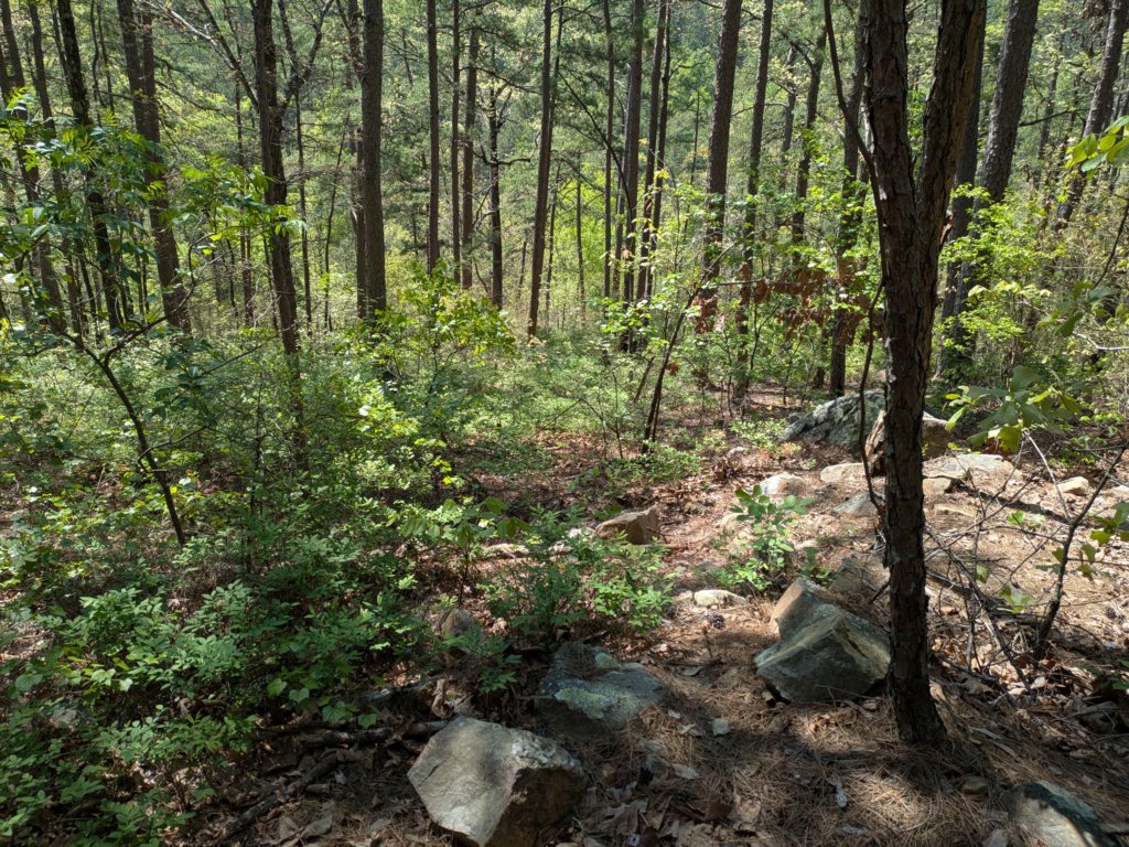 pxl_20250412_165434624.jpg