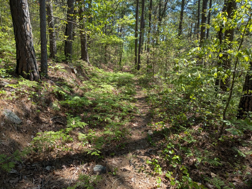 pxl_20250412_165539413.jpg
