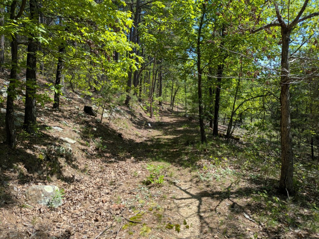 pxl_20250412_165717301.jpg