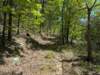 pxl_20250412_165717301_small.jpg
