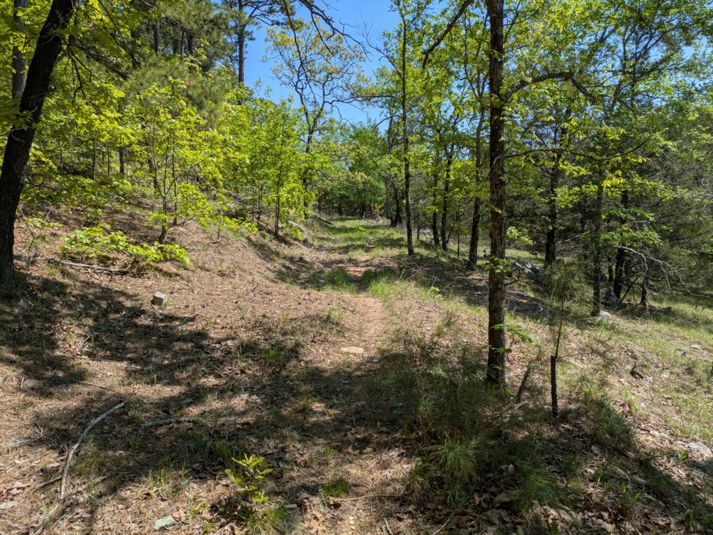 pxl_20250412_165753466.jpg