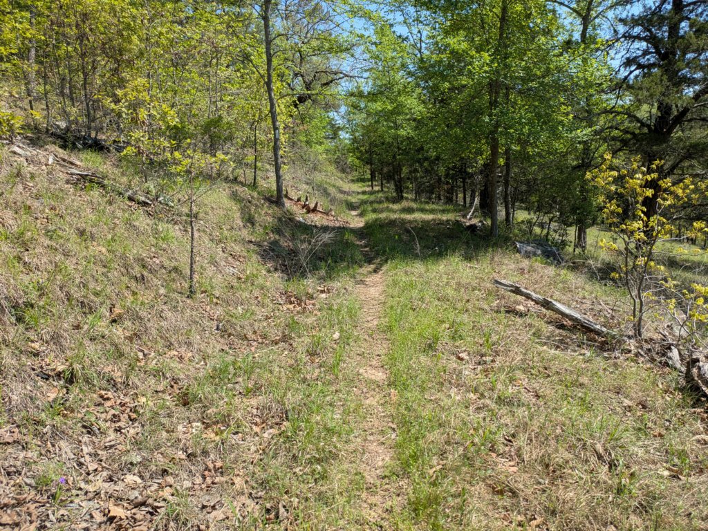 pxl_20250412_165850790.jpg