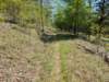 pxl_20250412_165850790_small.jpg