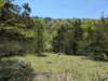 pxl_20250412_165904233_small.jpg