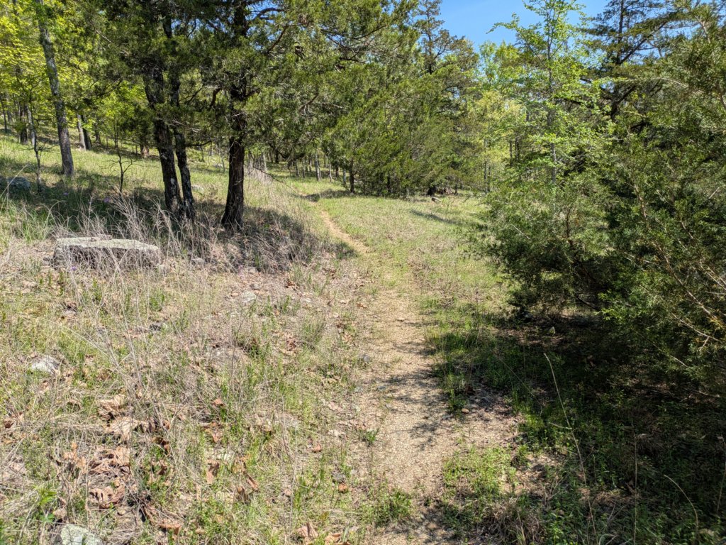 pxl_20250412_170215573.jpg