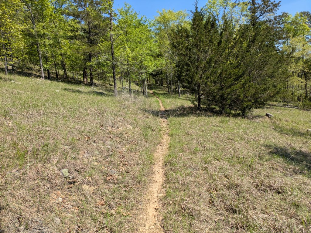 pxl_20250412_170232228.jpg