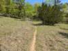 pxl_20250412_170232228_small.jpg