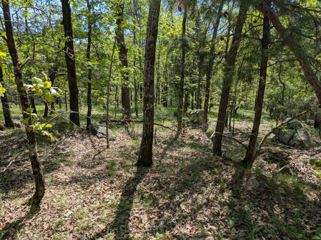 pxl_20250412_170444526.jpg