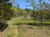 pxl_20250412_170503785_small.jpg