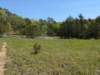 pxl_20250412_170545086_small.jpg