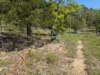 pxl_20250412_170550256_small.jpg