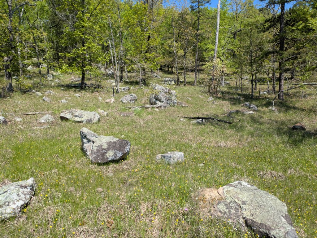 pxl_20250412_170612574.jpg
