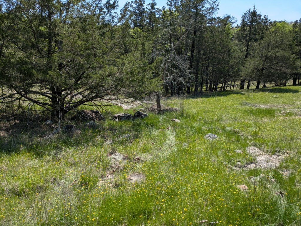 pxl_20250412_170627426.jpg