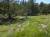 pxl_20250412_170627426_small.jpg