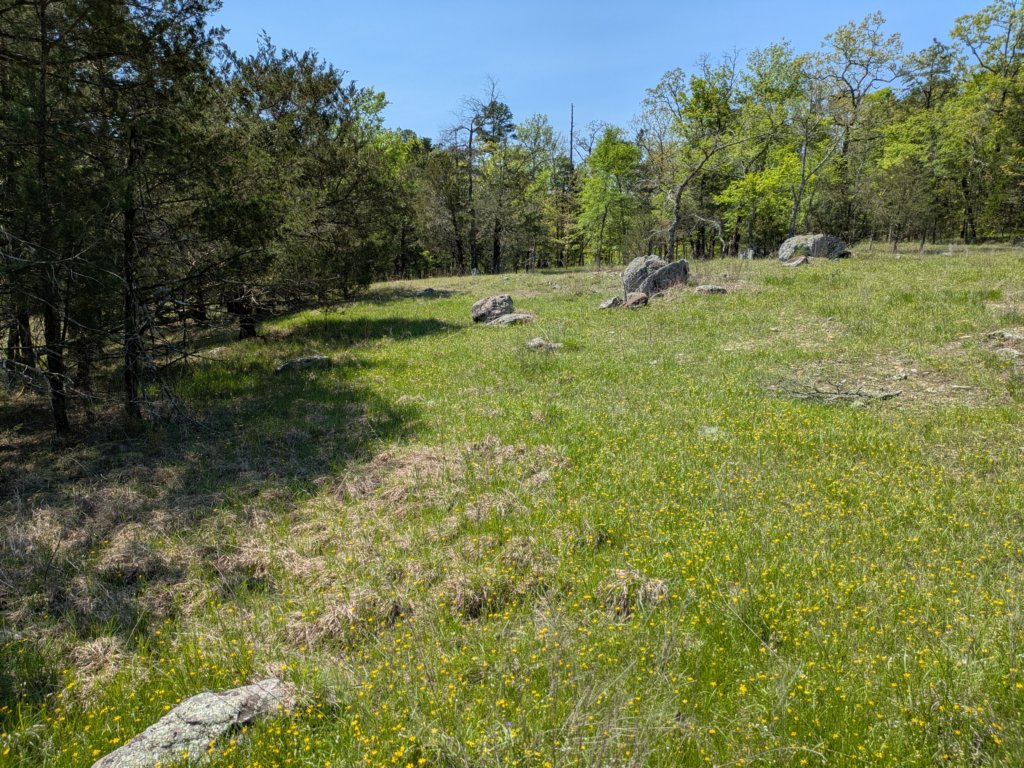 pxl_20250412_170736367.jpg