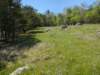 pxl_20250412_170736367_small.jpg