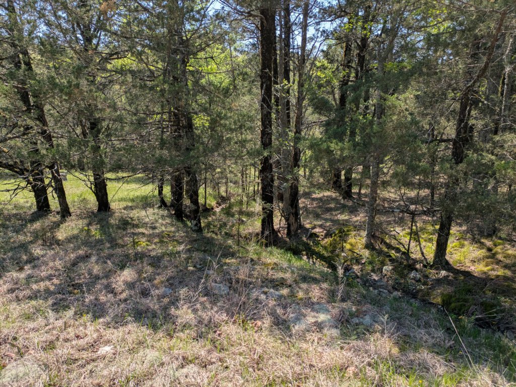 pxl_20250412_170802185.jpg