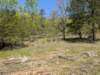 pxl_20250412_170819474_small.jpg