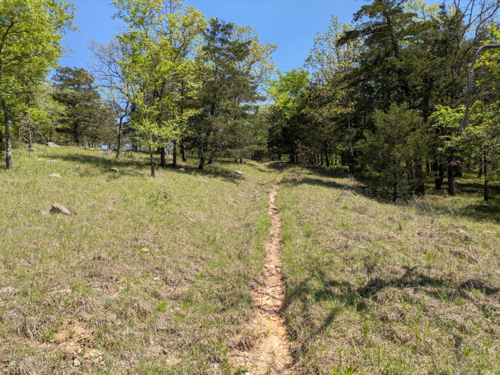 pxl_20250412_171002670.jpg