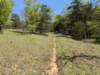 pxl_20250412_171002670_small.jpg
