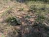 pxl_20250412_171059133_small.jpg