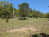 pxl_20250412_171128601_small.jpg