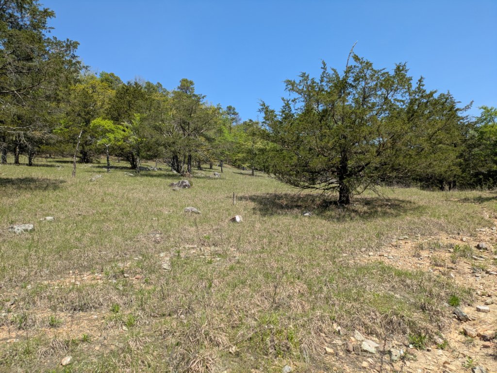 pxl_20250412_171136809.jpg