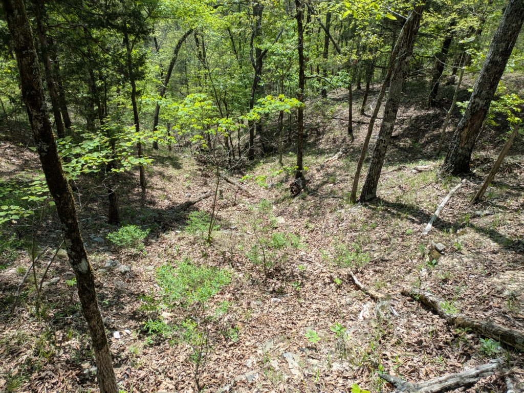 pxl_20250412_171234415.jpg