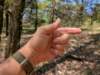 pxl_20250412_171240108_small.jpg