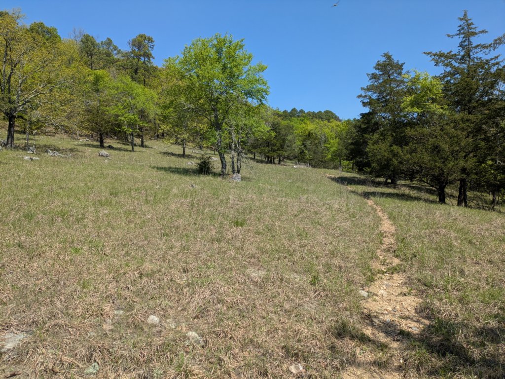 pxl_20250412_171322880.jpg