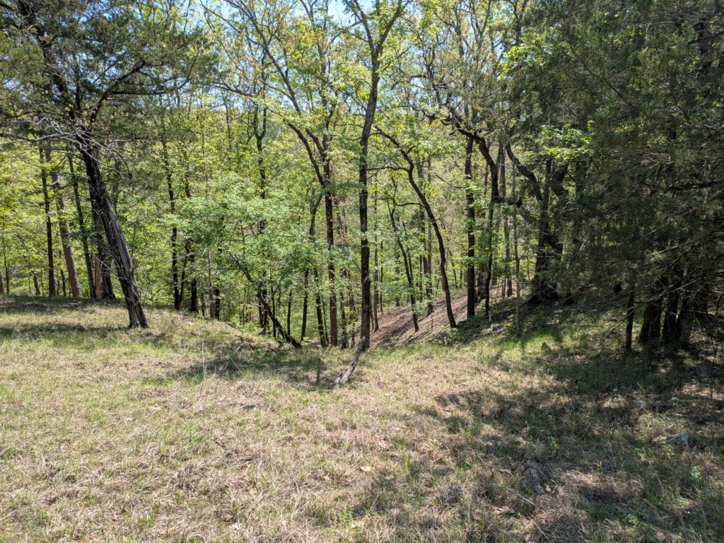 pxl_20250412_171357170.jpg