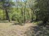 pxl_20250412_171357170_small.jpg