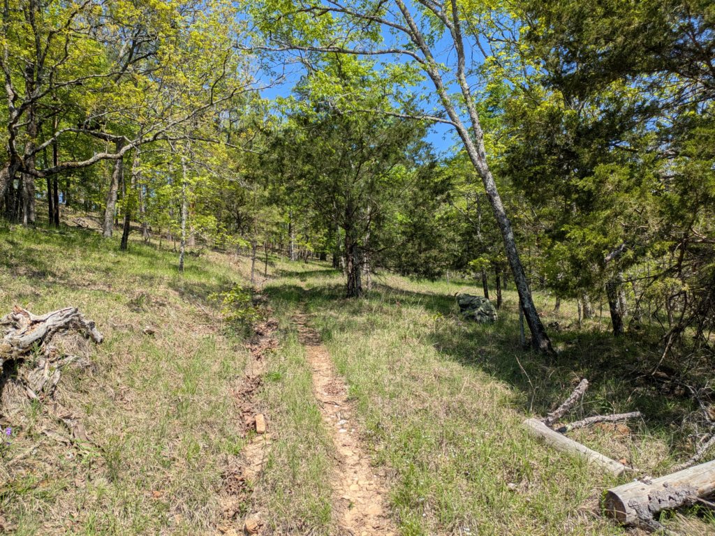 pxl_20250412_171449927.jpg
