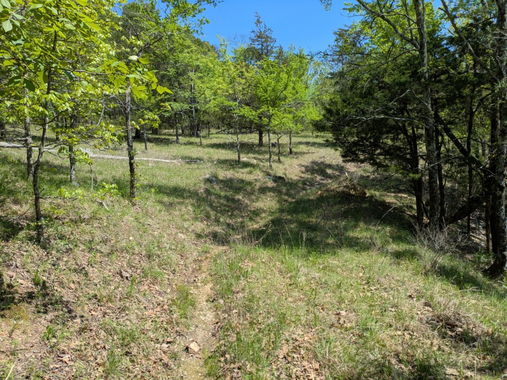 pxl_20250412_171602103.jpg