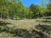 pxl_20250412_171637020_small.jpg