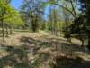 pxl_20250412_171642505_small.jpg