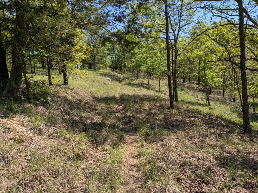 pxl_20250412_171737692.jpg