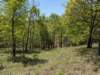 pxl_20250412_171757912_small.jpg