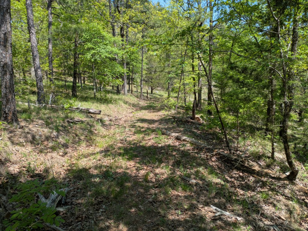 pxl_20250412_171913709.jpg
