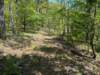 pxl_20250412_171913709_small.jpg