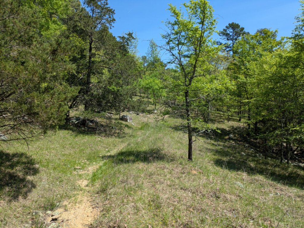 pxl_20250412_171950824.jpg