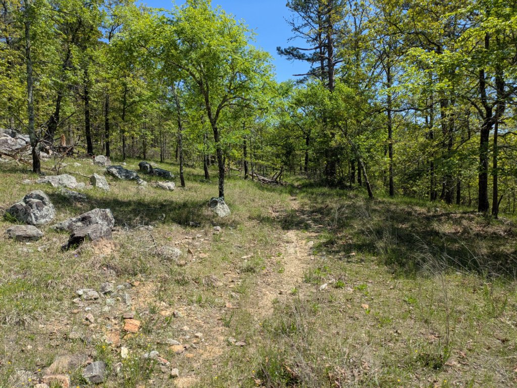 pxl_20250412_172017392.jpg