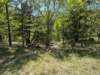 pxl_20250412_172030481_small.jpg