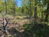 pxl_20250412_172102550_small.jpg