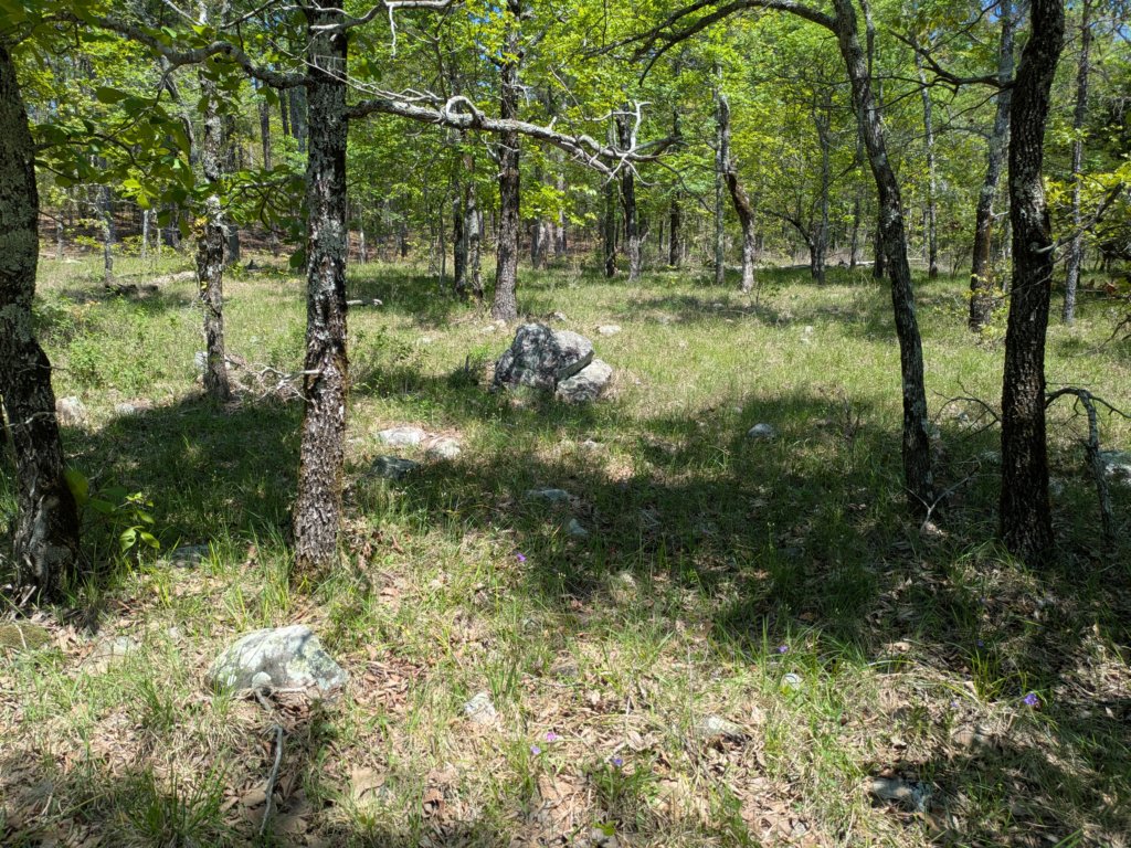 pxl_20250412_172146684.jpg